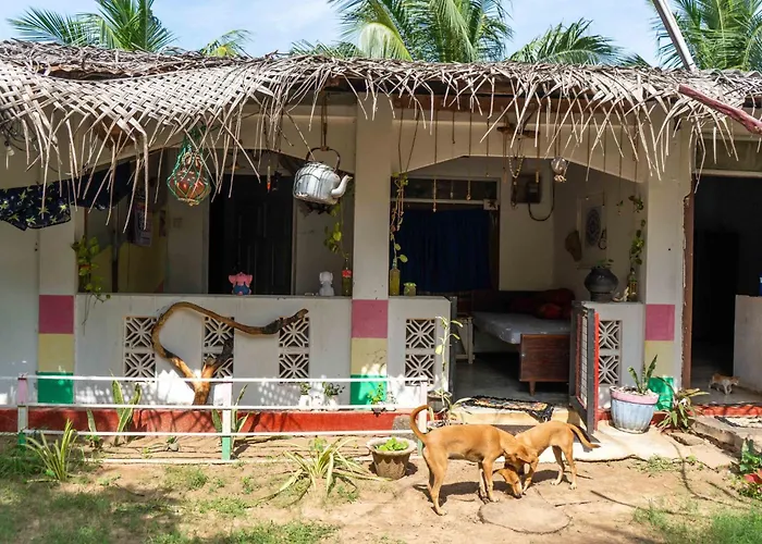 Nimal'S White House