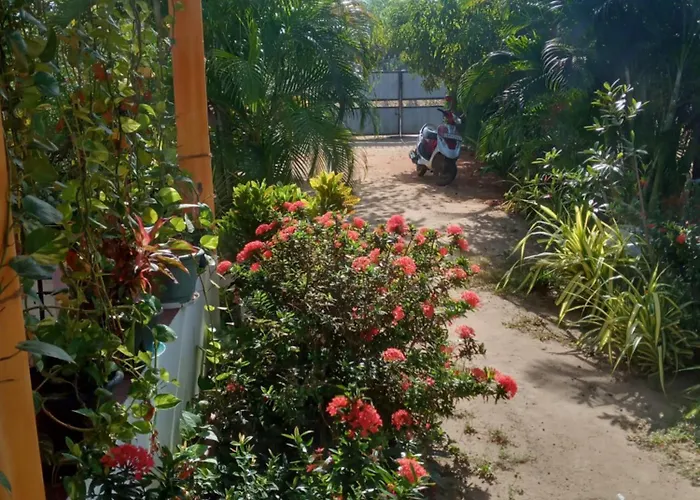 U New Guest House