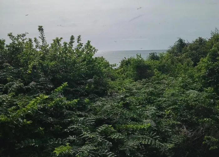 Black Forest Beach Resort